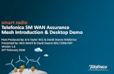 smart radio Telefonica SM WAN Assurance Mesh · PDF filesmart radio Telefonica SM WAN Assurance Mesh Introduction & Desktop Demo Pack Produced by: Eric Taylor DCC & David Owens Telefonica