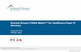Everest Group’s PEAK Matrix™ for Healthcare Payer IT Services · PDF fileEverest Group recently released its report titled “Healthcare Payer IT Services ... Pitney Bowes, Stibo