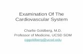 Examination Of The Cardiovascular Systemmeded.ucsd.edu/clinicalmed/pe_Cardiovoascular_Exam.pdfExamination Of The Cardiovascular System Charlie Goldberg, ... Valves And Surface Anatomy