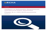 Guidance on Information Requirements and Chemical Safety ...echa.europa.eu/documents/10162/13632/information_requirements_r11... · Guidance on Information Requirements and Chemical