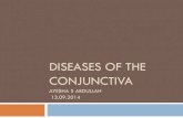 DISEASES OF THE CONJUNCTIVA - prime.edu.pk o… · Classify diseases of the conjunctiva 2. Identify the common symptoms and signs of conjunctival diseases 3. ... Conjunctival congestion