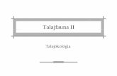Talajfauna2 [Kompatibilitási mód]ecology.science.unideb.hu/files/05-Talajfauna2.pdf · Nemesia pannonica - Magyar aknászpók • Mind a nőstény mind a hím 11-12 mm • Barnásvörös