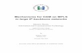 Mechanisms for OAM on MPLS - COnnecting REpositories · PDF fileMECHANISMS FOR OAM ON MPLS IN LARGE IP BACKBONE NETWORKS Preface This thesis is written for the Network Access department
