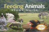 Feeding Animals - ACS Distance Educationdl.acsedu.com/ebook/Samples/Short_Course_Feeding_… ·  · 2016-01-25LESSON 1 INTRODUCTION TO FEEDING ANIMALS AND INDUSTRY OPPORTUNITIES