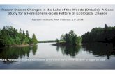 Recent Diatom Changes in the Lake of the Woods …post.queensu.ca/~low/RESEARCH/Cyclotella and Warming/Cyclotella and...Summary of Diatom Trends: ... • Whitefish Bay = case study.