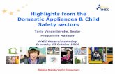 Highlights from the Domestic Appliances & Child Safety · PDF fileHighlights from the Domestic Appliances & Child ... • Revision of CEN TR 13387 “Child use and care ... • work