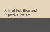 Animal Nutrition and Digestive System - Mrs. Talley's …talleysbiobin.weebly.com/uploads/2/0/9/0/20901036/animal...Animal Nutrition and Digestive System Evolution of the Digestive