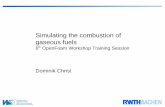 Simulating the combustion of gaseous fuels - … the combustion of gaseous fuels 6th OpenFoam Workshop Training Session Dominik Christ