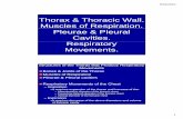 Thorax & Thoracic Wall. Muscles of Respiration. Pleurae ...sta.uwi.edu/fms/MDSC1001/Thorax_Thoracic_wall.pdfMuscles of Respiration. Pleurae & Pleural Cavities. Respiratory Movements.