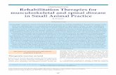 COMMISSIONED PAPER Rehabilitation Therapies for ... · PDF fileRehabilitation Therapies for musculoskeletal and spinal disease ... ‘assisted standing,’ resisted joint ﬂ ... assisted