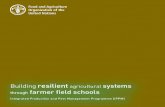 Building resilient agricultural systems through … resilient agricultural systems through farmer field schools ... José Graziano da Silva, ... Building resilient agricultural systems