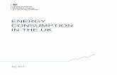 ENERGY CONSUMPTION IN THE UK · PDF fileEnergy Consumption in the UK ... Building Energy Efficiency Survey ... series Index of Production. As with the services sector,