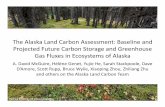 McGuire IARPC Presentation Alaska Land Carbon ... Amore, Scott Rupp, Bruce Wylie, Xiaoping Zhou, ZhiliangZhu and others on the Alaska Land Carbon Team USGS Alaska Land Carbon Assessment