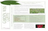 Perennial Research Garden Garden Wise rvice —Collin · PDF fileTexas AgriLife Extension Se Garden Wise rvice —Collin County Volume 3, Issue 3 Fall 2010 The Texas AgriLife Extension