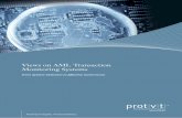 Views on AML Transaction Monitoring Systems - Protiviti · PDF fileii Views on AML Transaction Monitoring Systems Over the past year, Protiviti has published a series of point-of-view