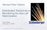 Sensa Fiber Optics Distributed Temperature Monitoring for ...alrdc.com/workshops/2007_Spring2007GasLift/presentations/3 - 04... · Sensa Fiber Optics Distributed Temperature Monitoring