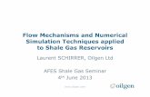 Flow Mechanisms and Numerical Simulation Techniques ... · PDF file Flow Mechanisms and Numerical Simulation Techniques applied to Shale Gas Reservoirs Laurent SCHIRRER, Oilgen Ltd