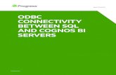 ODBC CONNECTIVITY BETWEEN SQL AND … connectivity between sql and cognos bi servers whitepaper progress.com