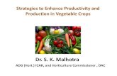 Dr. S. K. Malhotra - · PDF fileHorticulture Scenario in India . ... Global vegetable seed market: ... • Canopy management and architectural engineering in fruit crops (CITH) •