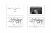 Case Study: Ring species Species and Speciation IIIfaculty.uca.edu/benw/biol4415/presentations/lect9c.pdf · Species and Speciation III Case Study: Ring species Greenish warbler,