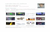 Curriculum Vitae of G. Zachmann - Uni Bremen || Startseitezach/resume/cv_3pages.pdf · collision detection and related topics ... (see e.g. the research project Collision ... External