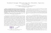 Seabed Image Mosaicing for Benthic Species Countingav/papers/bagheri10benthic.pdf · Seabed Image Mosaicing for Benthic Species Counting Hamed Bagheri, ... on creating a mosaic from