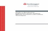 Guide to Baculovirus Expression Vector Systems (BEVS · PDF fileGuide to Baculovirus Expression Vector Systems ... tion throughout the tissue in an in vivoinfection of a worm ... basement