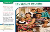 Chapter 12: Patterns of Heredity and Human · PDF fileMaking a Pedigree At some point, you have probably seen a family tree, either for your family or for someone else’s. A family