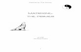 MATRIXING: THE PRIMER -  · PDF fileNot in this age of technology. ... you know Wing Chun and Jeet Kune Do, but, while one, ... Matrixing: The Primer. A REAL EXAMPLE OF MATRIXING