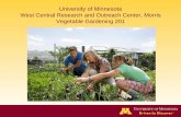 University of Minnesota West Central Research and · PDF fileWest Central Research and Outreach Center, Morris Vegetable Gardening 201 . Why a Vegetable Garden • Satisfaction •