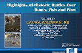 Highlights of Historic Battles Over Dams, Fish and · PDF fileHighlights of Historic Battles Over Dams, Fish and Flow ... • Created 2 local political parties : ... date to 17th-century