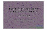 Evolution of Topological Defects in Field Theory - … of Topological Defects in Field Theory ... If a pattern stabilises, ... Evolution of Topological Defects in Field Theory