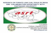 RESEARCH ON TOMATO LEAF CURL VIRUS IN INDIA …apsaseed.org/wp-content/uploads/2017/02/4.-Research … ·  · 2017-02-28Pantnagar 263145-INDIA dks1233@gmail.com RESEARCH ON TOMATO