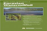 Biology, Ecology and Management of Eurasian …msuextension.org/publications/AgandNaturalResources/EB0193.pdfBiology, Ecology and Management of Eurasian Watermilfoil (Myriophyllum