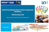 Social Prescribing & Expert Patient Programme Modelling NHS Bromley CCGi5health.com/SPReports/COP_Report_SP_EPP_Bromley… ·  · 2017-06-02Social Prescribing & Expert Patient Programme
