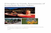 Principles to Guide Assessments of Ecosystem Service ... · PDF filePrinciples to Guide Assessments of ... Principles to Guide Assessments of Ecosystem Service Values, first ... consistent