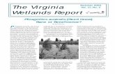 The Virginia Summer 2002 Vol. 17, No. 2 Wetlands Reportccrm.vims.edu/publications/publications_topics/vwr/... · Summer 2002 Vol. 17, No. 2 Phragmites australis ... is rapidly gaining