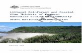 Littoral Rainforest and Coastal Vine Thickets of Eastern ... · Web viewLittoral Rainforest and Coastal Vine Thickets of Eastern Australia Ecological Community: Draft National Recovery