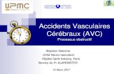 Accidents Vasculaires Cérébraux (AVC) - IFSIifsi.upmc.fr/wp-content/uploads/2014/02/20170316-1601-AVC.Delorme... · Eduquer les patients victimes d’AVC sur leurs maladies ...
