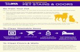 Re-Train Your Pet - SPCA of Texas STAINS & ODORS Re-Train Your Pet To Clean Washable Items To Clean Floors & Walls Has your pet left “scent marks” on your ﬂoor or furniture?
