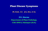 Plant Disease Symptoms - Hill Agric. 4... ·  · 2011-08-30Plant Disease Symptoms Pl. Path. 111 (Cr. Hrs. 3+1) P.N. Sharma Department of Plant Pathology, ... (Albugo candida) Ring
