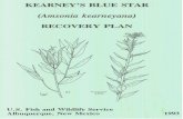 RECOVERY PLAN - United States Fish and Wildlife … Preparation of the Kearney’s blue star recovery plan benefitted from the review and comments by the following members and consultants