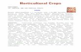 agropedia.iitk.ac.inagropedia.iitk.ac.in/sites/default/files/Horticultural... · Web viewJackfruit (Artocarpus heterophyllus Lamk.) is grown in southern India as stray trees in home