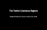 The Twelve Cutaneous Regions - Dr Timothy Francisdrtimothyfrancis.com/.../2016/...Cutaneous_Regions.pdf · These cutaneous regions protect the body from external pathogenic factors