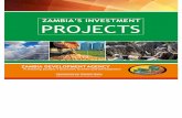 ZAMBIA’S INVESTMENT PROJECTS - izvoznookno.si Booklet ZDA 2018.pdf · feasibility study Ministry of Agriculture ... Breeding Centers The project is for the establishment of livestock