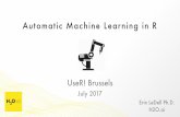 Automatic Machine Learning in R - schd.wsschd.ws/hosted_files/user2017/97/business_machine_learning_555.pdf · Automatic Machine Learning in R Erin LeDell Ph.D. H2O.ai UseR! Brussels