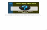 Veterinary Careers - Animal Careersanimalcareers.cornell.edu/careers/VetCareers.pdf · about working in veterinary medicine? Well, Im here to explain what veterinarians do and answer