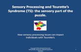 Sensory Processing and Tourette’s - Edmonton · PDF fileSensory Processing and Tourette’s Syndrome (TS): the sensory part of the puzzle. How sensory processing issues can impact