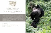 GORILLA TREKKING - The Safari and Conservation …scckenya.com/wp-content/uploads/2017/01/GorillaTrek… ·  · 2017-01-08gorilla trekking brieﬁng about the dos and the don’ts
