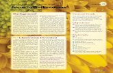 Unit 8—Salvation through Jesus Lesson Jesus in Gethsemaneoneinchrist.org/portal/cph/samples/pdf/Grade-2/G2_TG_Lesson59.pdf · Jesus in Gethsemane ... Jesus’ fulfillment of His